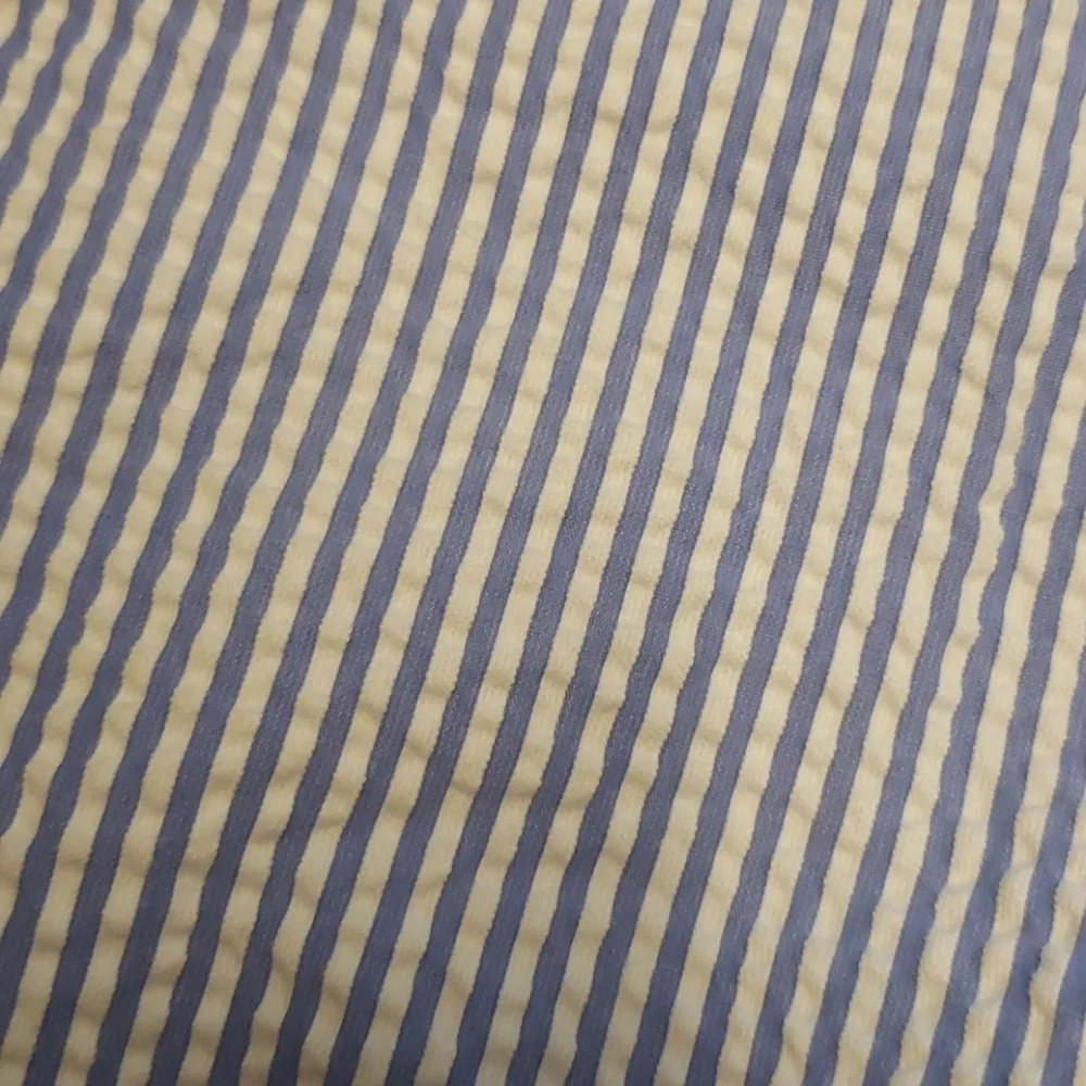 J Crew blue/white stripe seersucker Cafe Capris 8